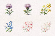 Wildflower Meadow Clipart Set, a Seasonal Illustration by CreationArt (Thumbnail 4 of 7)