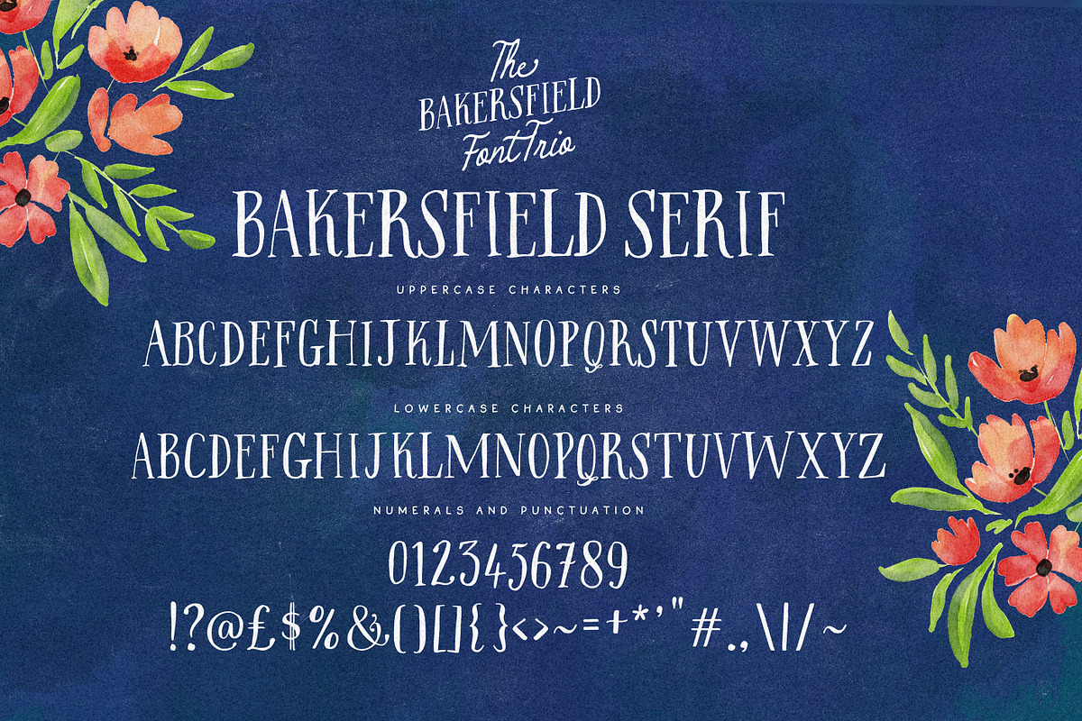 The Bakersfield Font Trio, a Handwritten Font by Nicky Laatz (Photo 17 of 18)