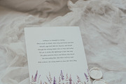 Waterolor Floral Borders Bundle, a Decorative Illustration by Lana Elanor (Thumbnail 11 of 97)