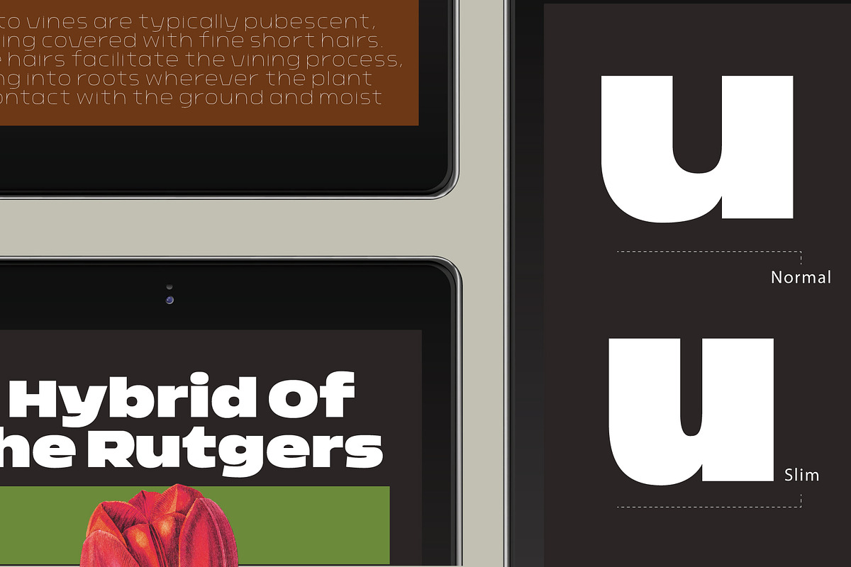 Nordt, a Sans Serif Font by Typesketchbook Foundry (Photo 5 of 5)