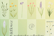 Wildflowers watercolor collection, an Illustration by viktoriiavk (Thumbnail 3 of 11)