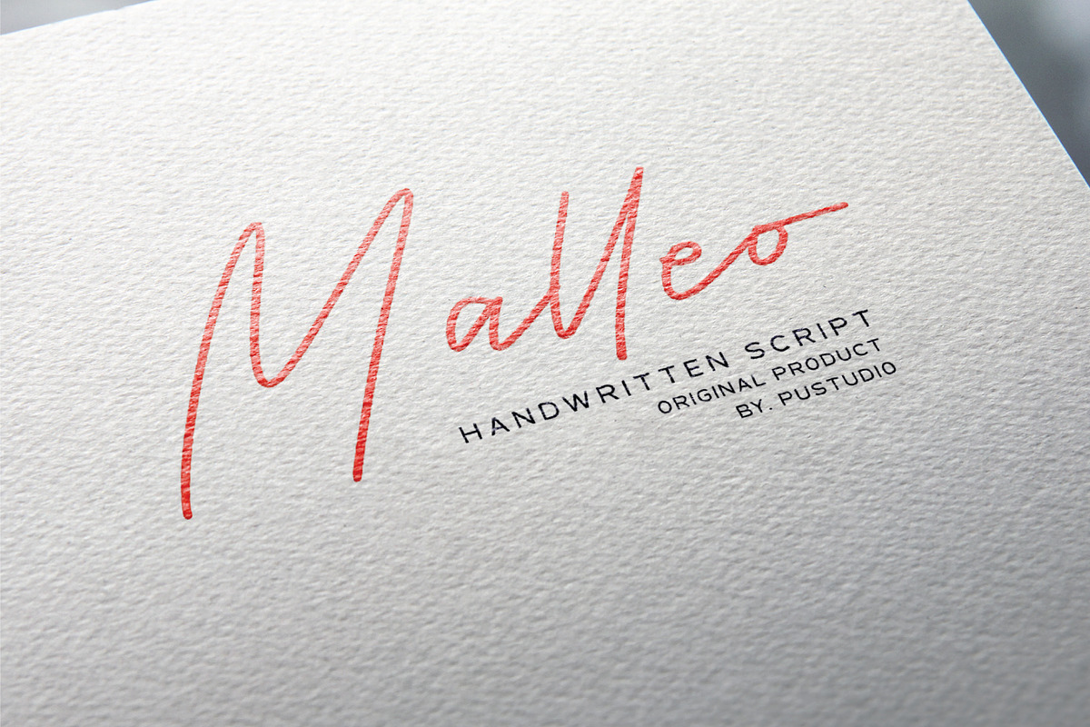 Malleo, a Script Font by Pustudio (Photo 7 of 7)