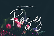 Saturday Rock Font, a Script Font by Creativeqube Design (Thumbnail 8 of 14)