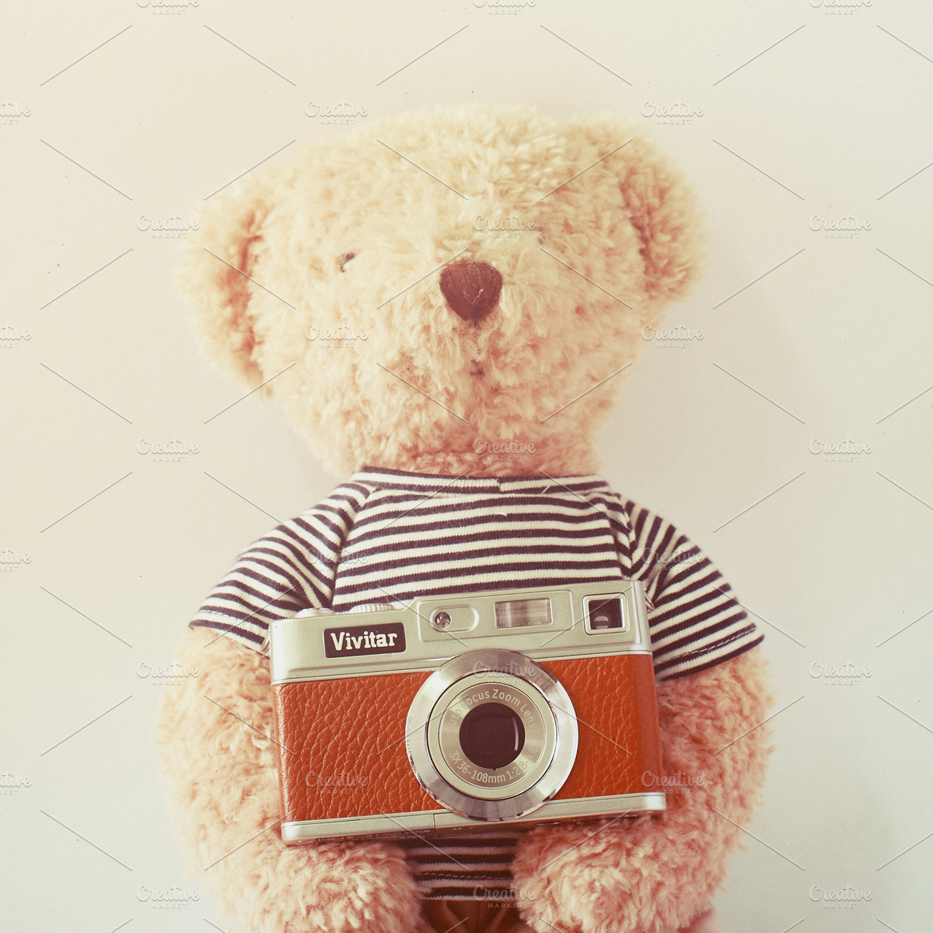 Teddy Bear With Retro Camera