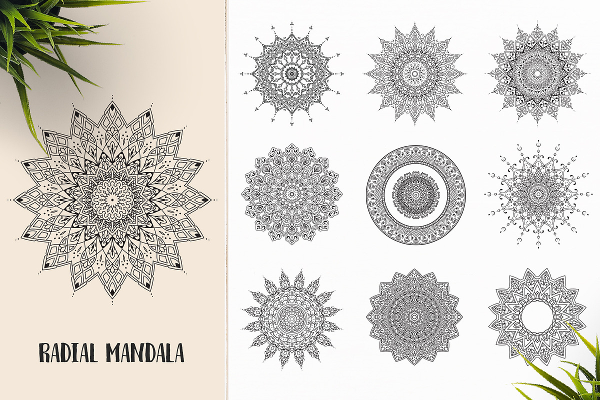 530 Vector Mandala Ornaments, an Animal Illustration by pixaroma (Photo 47 of 55)