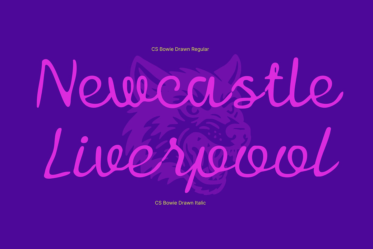 CS Bowie Drawn, a Script Font by Craft Supply Co. (Photo 3 of 8)