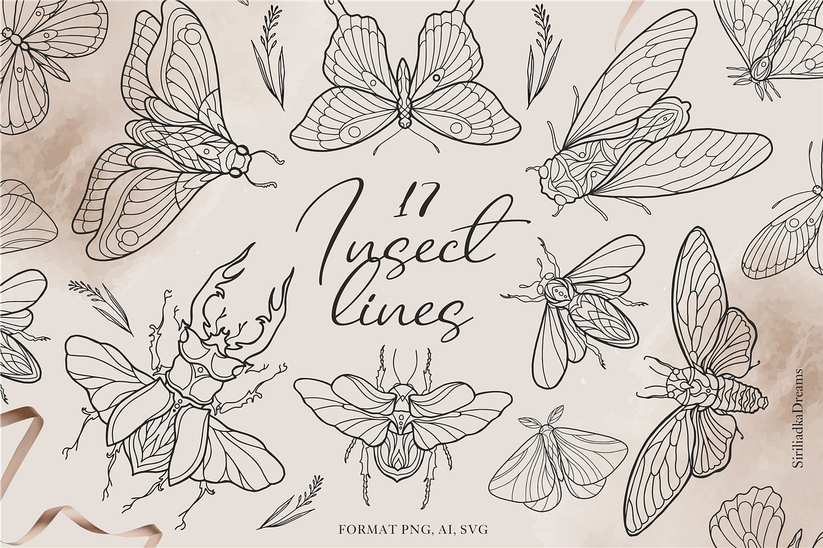 Insects Clipart - Black Line, PNG, an Illustration by Siriliadka Dreams (Photo 1 of 9)