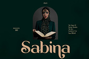 Malegis, a Sans Serif Font by Skypia (Thumbnail 7 of 13)