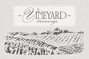 Vineyard drawings, a Decorative Illustration by TheMountBirdStudio (Thumbnail 1 of 8)
