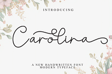 Carolina | Script Font