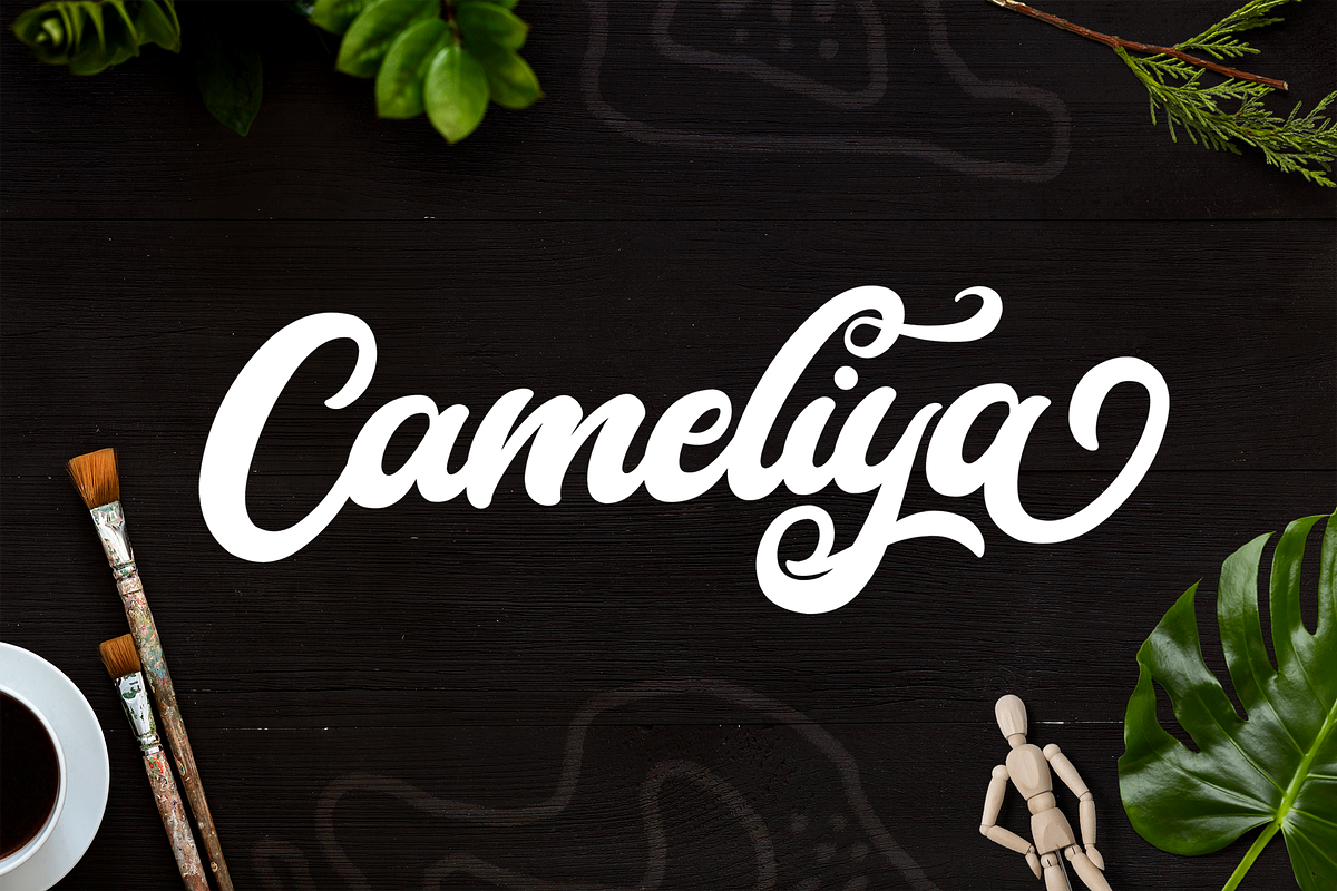 Cameliya - Bold Script Font, a Script Font by StringLabs (Photo 1 of 14)