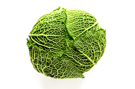Savoy cabbage isolated on a white background, a Food & Drink Photo by GoodGoods