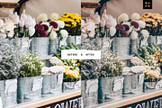8 Mango Lightroom Presets Bundle, a Preset Add-On by SHOOM HOUSE (Thumbnail 5 of 8)