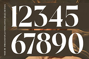Biblonk Matter Elegant Serif, a Serif Font by timelesstype.co (Thumbnail 16 of 19)