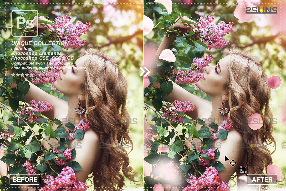PINK Rose Petals photo overlays, an Object Graphic by 2SUNS (Photo 8 of 9)