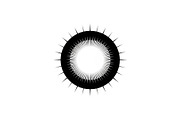 Sunburst Rays Vector Bundle Bundle, an Illustration by yasushie (Thumbnail 21 of 31)