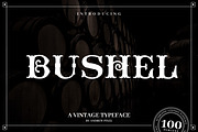 Bushel - A vintage Flourish Font, a Serif Font by AndrewPixel (Thumbnail 1 of 7)