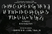 Autography, a Handwritten Font by FreshTypeINK (Thumbnail 4 of 7)