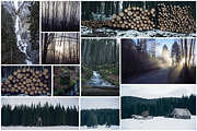 Mystic Forest Photo Pack - 60 Images, a Templates & Theme by Dreamy Pixel (Thumbnail 4 of 5)