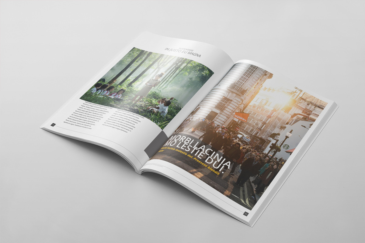 Magazine Template 60, a Magazine Template by pmvch (Photo 10 of 11)