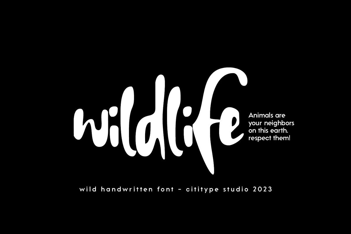 Jackfire - Wild handwritten Font, a Handwritten Font by Cititype (Photo 4 of 15)