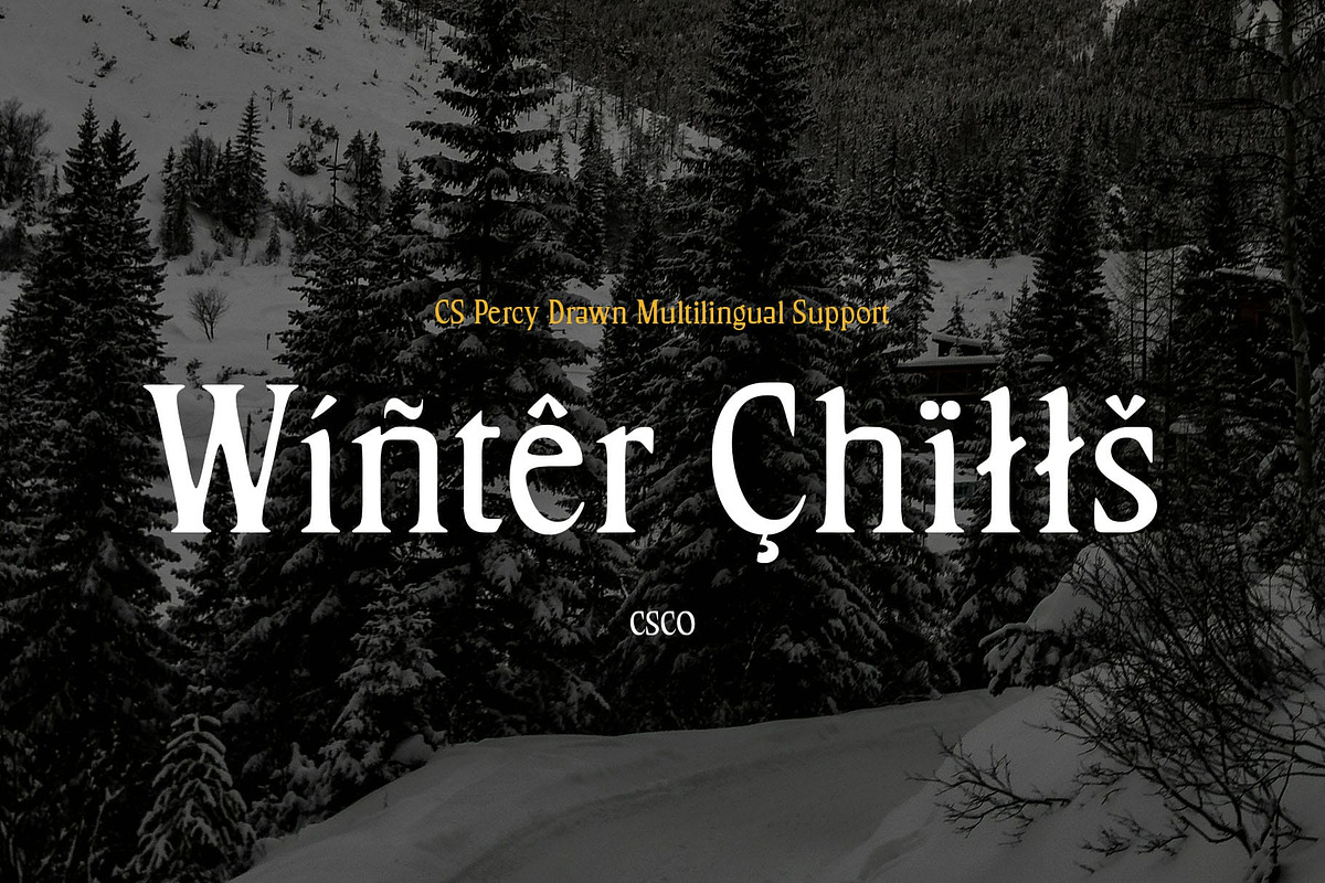 CS Percy Drawn, a Serif Font by Craft Supply Co. (Photo 3 of 8)