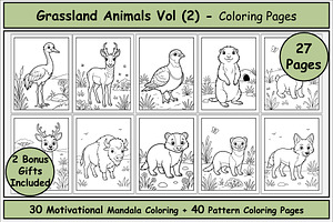Grassland Animals Coloring Book VOL2