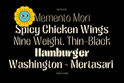 Satigof - Display Family, a Sans Serif Font by Holyline Design (Thumbnail 9 of 16)