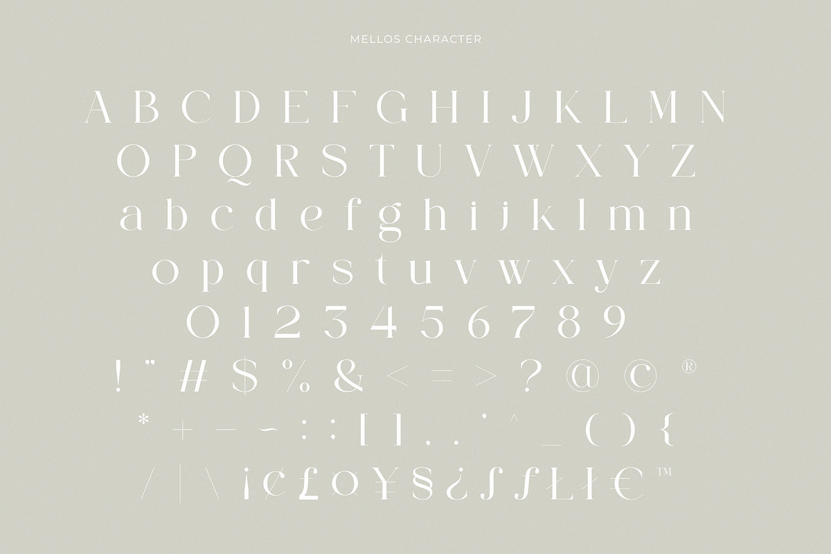 Mellos - Stylish Retro Serif, a Serif Font by GridlineType (Photo 9 of 10)