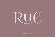 Cesso: Ligature Serif, a Serif Font by That That Creative (Thumbnail 12 of 17)