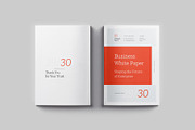 White Paper Template, a Brochure Template by Designsoul14 (Thumbnail 13 of 13)