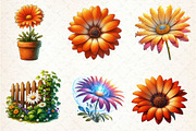 African Daisy Flower Bloom Clipart, an Illustration by Dream Creation (Thumbnail 4 of 5)