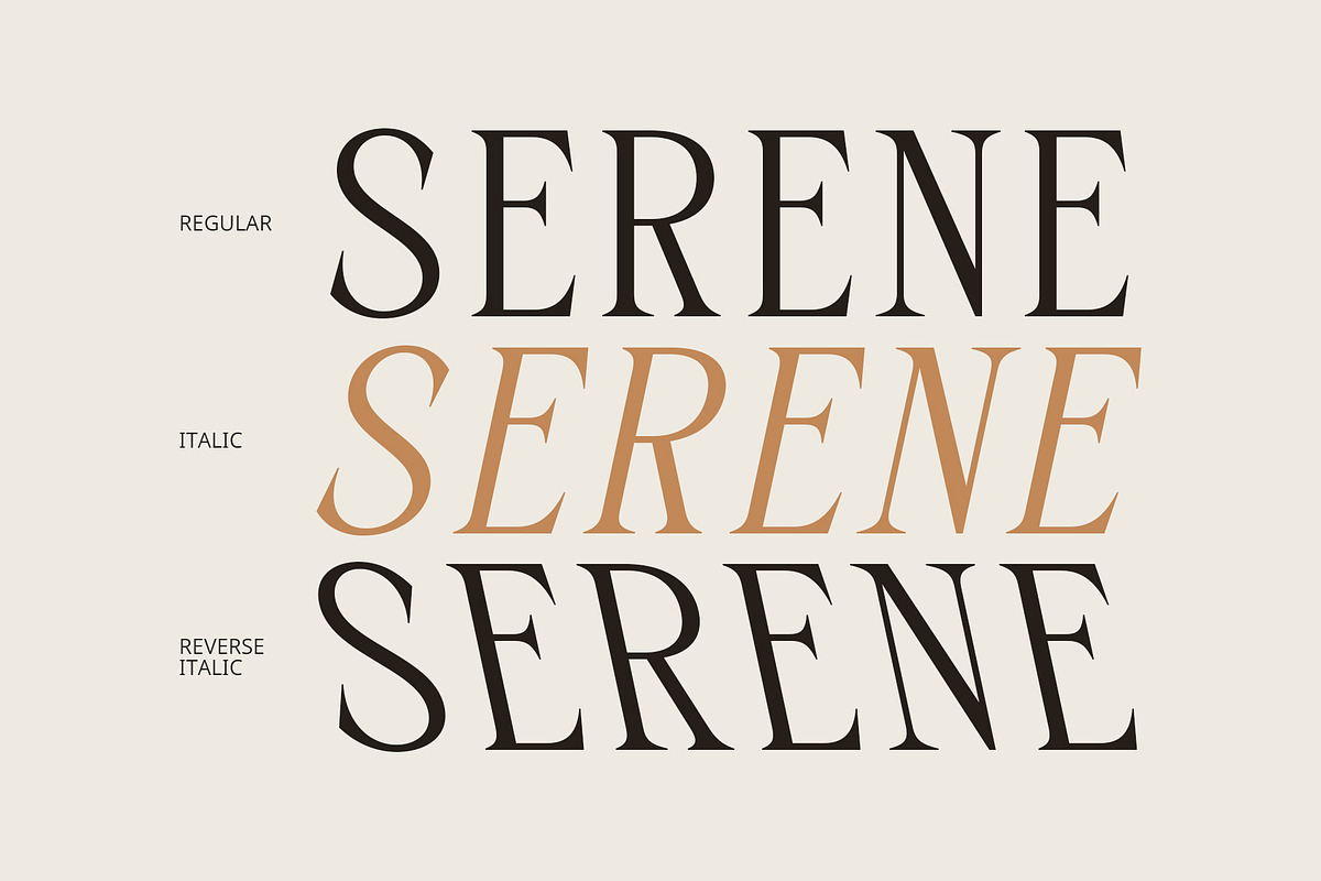 CS Gleda Mono – Monospaced Font, a Serif Font by Craft Supply Co. (Photo 3 of 8)