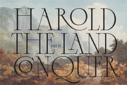Caseopia Elegant Display Serif Font, a Serif Font by Letteralle Studios (Thumbnail 7 of 10)