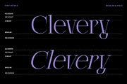 Clerioo – Elegant Serif Display Font, a Serif Font by MooneseyeType (Thumbnail 3 of 10)