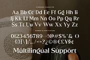 QUATRIX, a Serif Font by Umitype (Thumbnail 10 of 10)