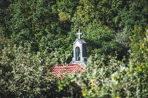 Church bell tower in trees, an Architecture Photo by SkyNext