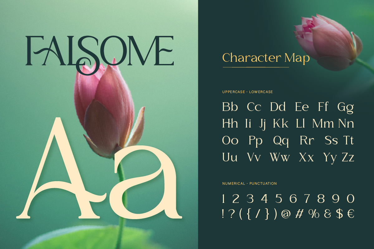 Falsome, a Serif Font by Burntilldead (Photo 2 of 12)