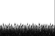 Harvest Wheat Border Designs, an Illustration by Creativeshirt (Thumbnail 7 of 9)