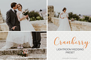 Desktop Lightroom Presets CRANBERRY, a Plug-in Add-On by Victoria Bee Presets (Thumbnail 15 of 29)