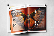Magazine Layout Template, a Magazine Template by Grkic Creative (Thumbnail 8 of 13)
