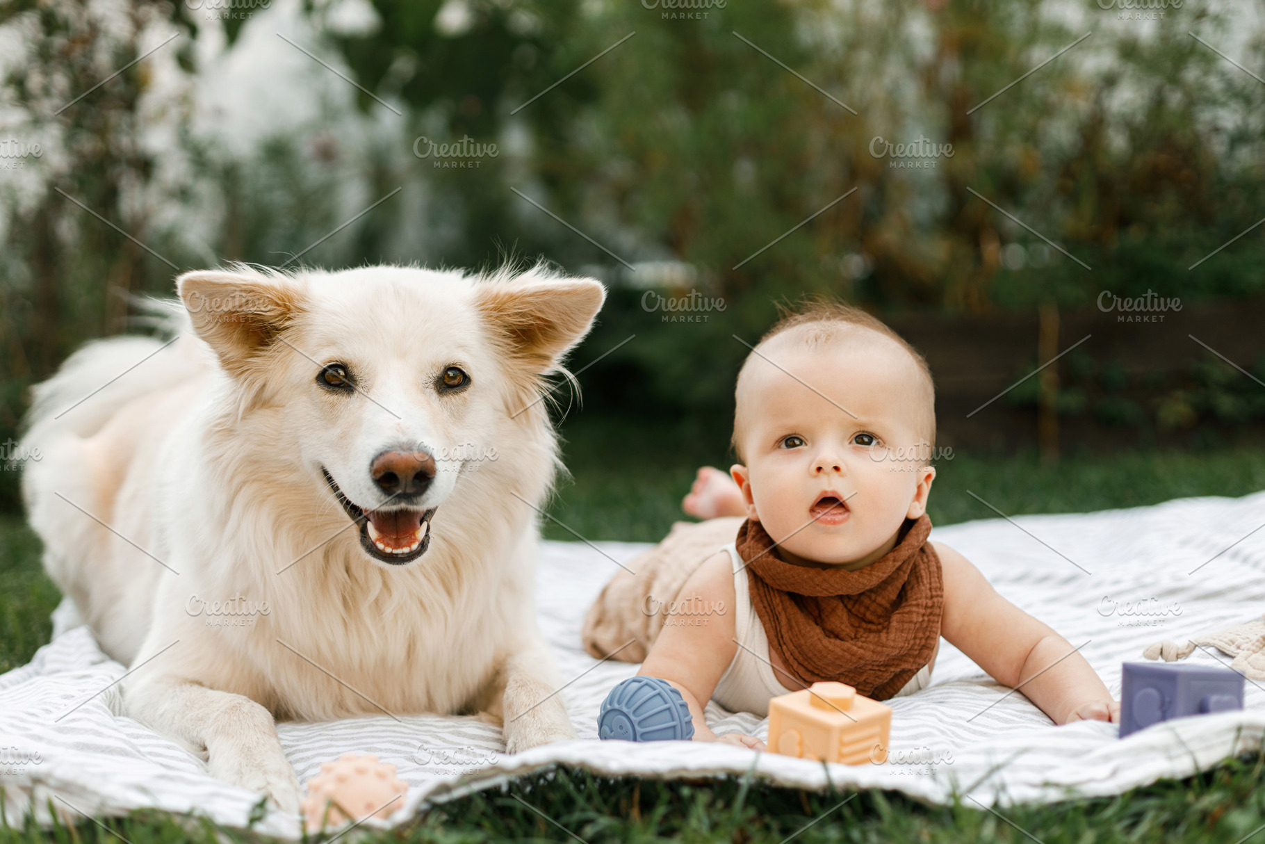 Beautiful happy baby and cute dog playing with toys while lying, a Person Photo by Sonjachni
