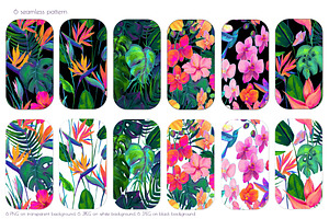 Birds Of Paradise Graphics/patterns