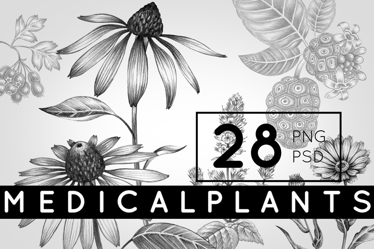 Set of medical plants., an Object Graphic by MarinaVorontsova (Photo 1 of 4)