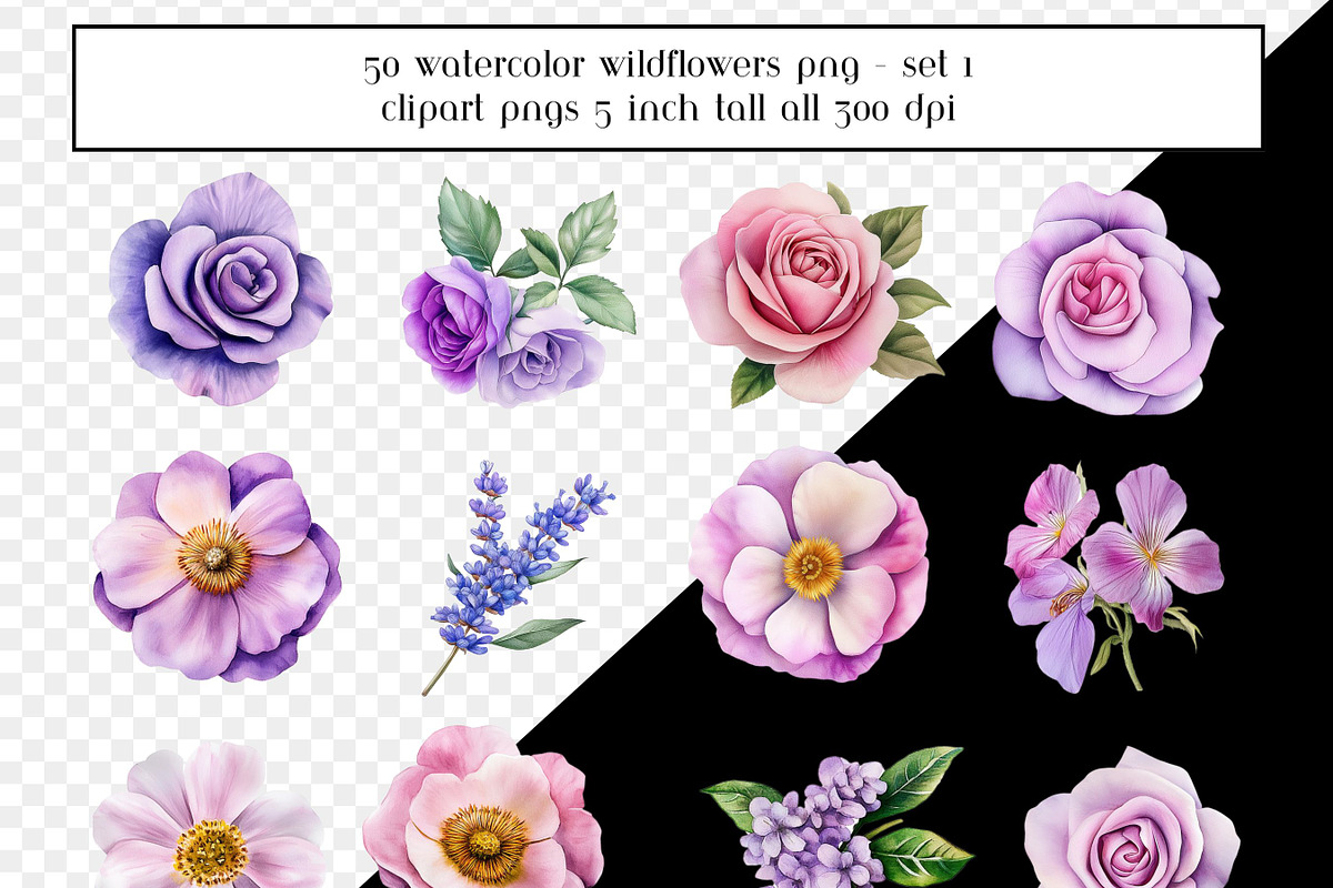 50 Watercolor Painted Wildflowers, an Object Graphic by AllTheKewtClipart (Photo 4 of 5)