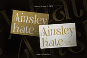Aquene Vintage, a Serif Font by Craft Supply Co. (Thumbnail 2 of 8)