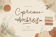 Capricious Ambrosia Quirky Font, a Handwritten Font by Letterhanna Studio (Thumbnail 1 of 13)