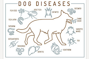 Common canine diseases. Informative, an Animal Illustration by Anna's Shop