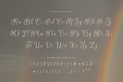 Theafalina - Beauty Elegant Script, a Script Font by Aksapix Studio (Thumbnail 10 of 10)