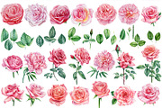 Garden Flowers hand drawn watercolor, a Decorative Illustration by Hanna Hryharenka (Thumbnail 3 of 16)